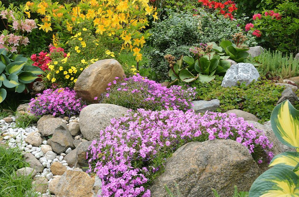 jardines de rocas