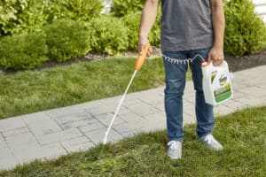 Control de malas hierbas en el césped