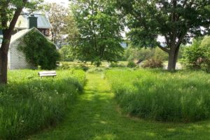 Prácticas para un césped ecológico y sostenible