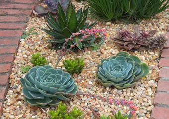 Jardines de piedras y gravilla