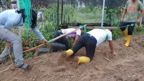 Preparación del suelo para el césped