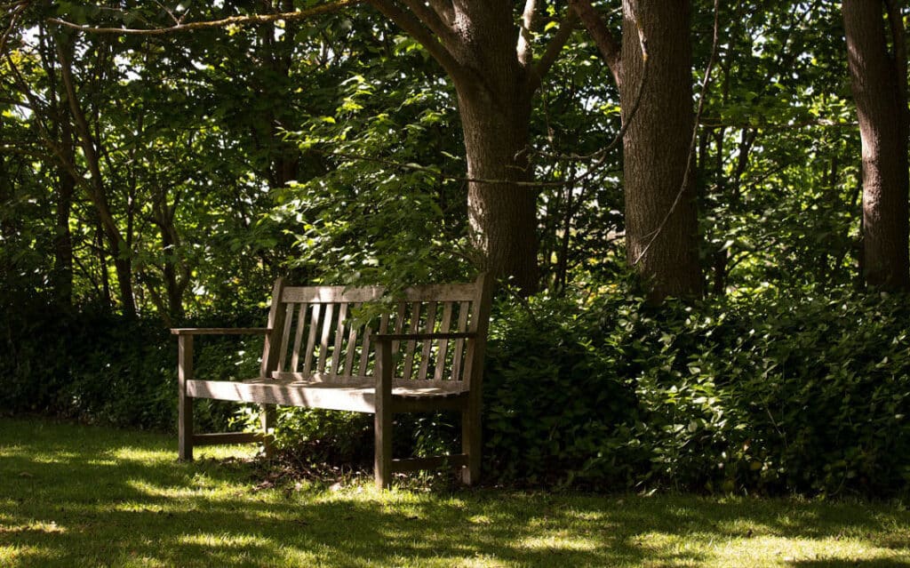 Razones por las que no crece el césped