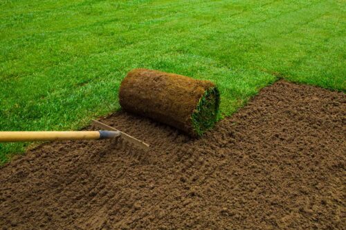 Métodos de propagación y cultivo del césped