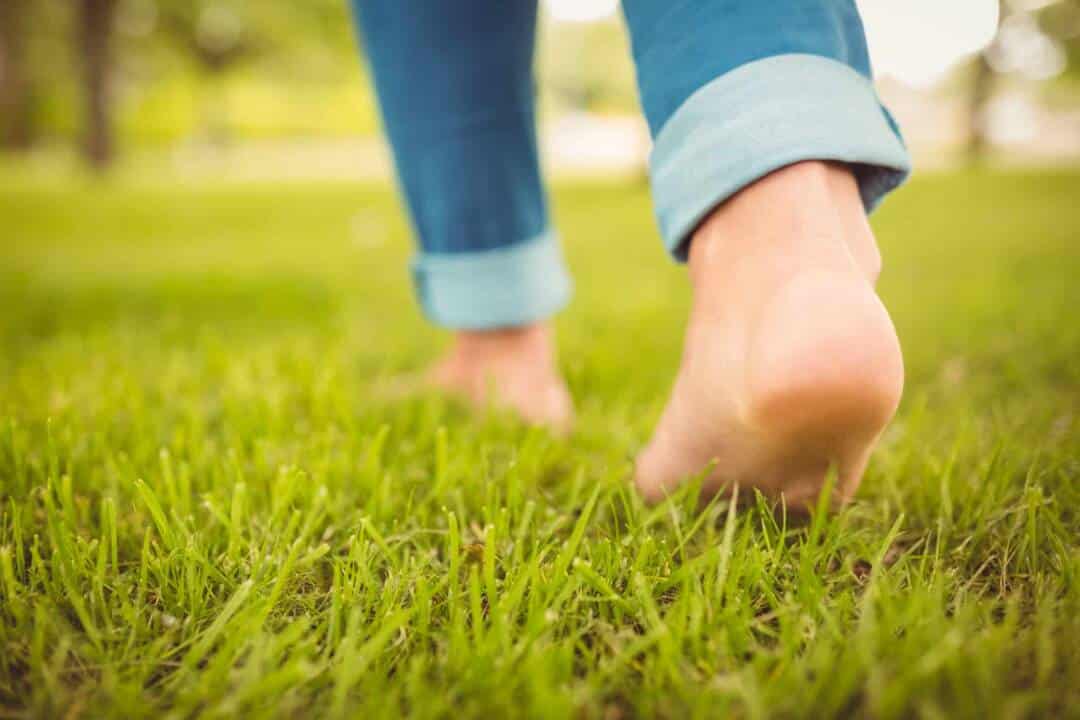 Momento seguro para caminar sobre césped sembrado