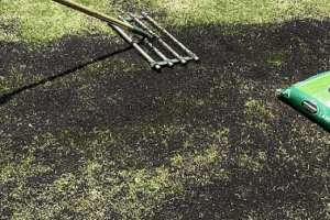 Usos y beneficios del recebo en el césped