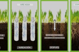 Aeración de césped: Beneficios y métodos