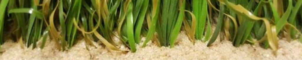 Arena de Sílice en Césped Artificial: Consejos Prácticos