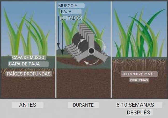 Escarificación del Césped: Guía Completa