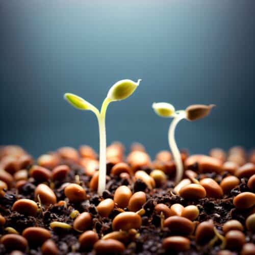Siembra y Microbiología en Jardinería