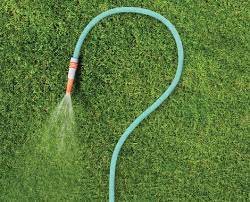 Cómo cuidar el césped en invierno