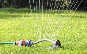GUIDELINES FOR LAWN WATERING IN CENTRAL TEXAS - Backbone Valley Nursery