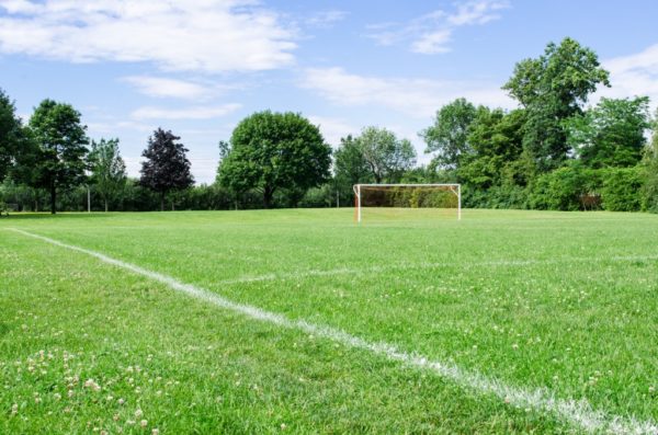 Mejores Tipos de Césped para campos de fútbol
