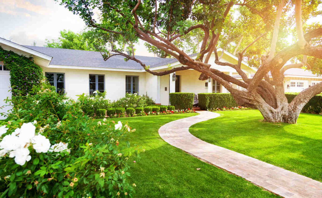 ¿Qué césped plantar en tu jardín? - Los 15 más conocidos