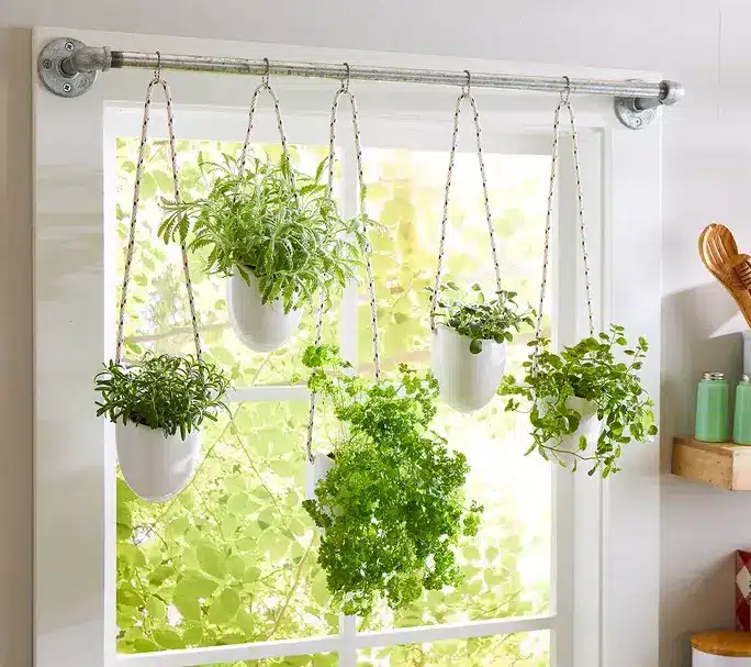 10 ideas para hacer huertos urbanos en espacios pequeños 9 10 ideas para hacer huertos urbanos en espacios pequeños