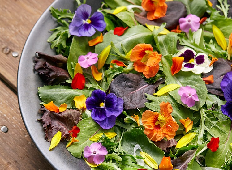 Hermosa ensalada con flores comestibles: Las flores comestibles como el flox, la capuchina, los pensamientos y los pétalos de caléndula son una hermosa adición a una ensalada sencilla.