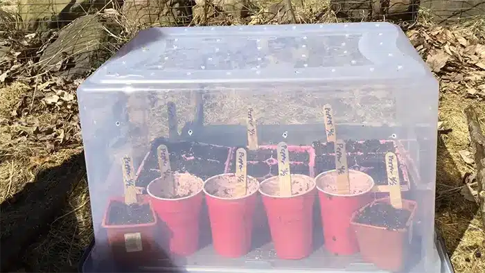 6 mini invernaderos fáciles y baratos de hacer 5 Invernadero con caja de plástico