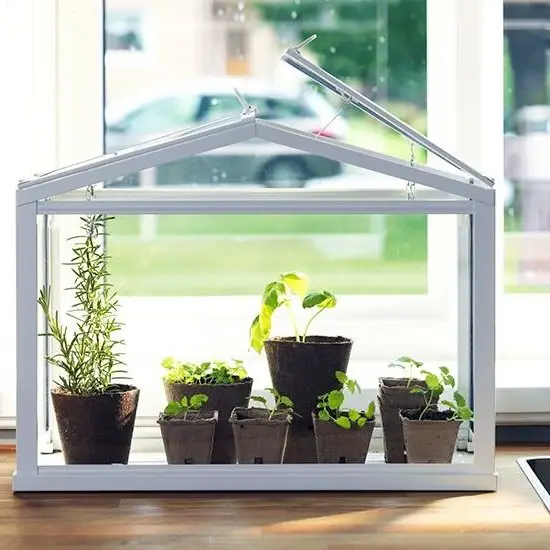 10 ideas para hacer huertos urbanos en espacios pequeños 16 10 ideas para hacer huertos urbanos en espacios pequeños