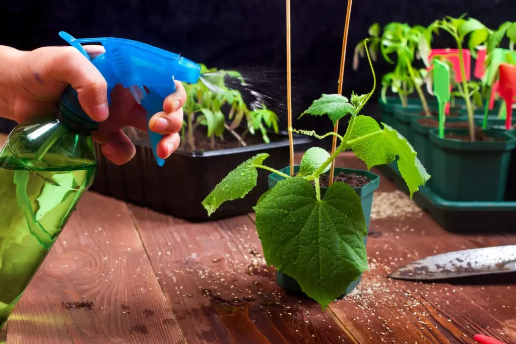 Cómo hacer un insecticida ecológico y fácil en casa 1 Cómo hacer un insecticida ecológico y fácil en casa