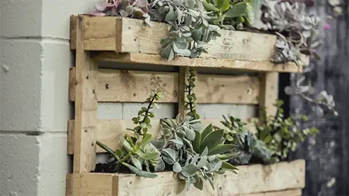 Guía fácil para hacer un jardín vertical con un palet 10 Guía fácil para hacer un jardín vertical con un palet