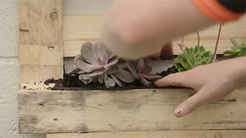 Guía fácil para hacer un jardín vertical con un palet 9 Guía fácil para hacer un jardín vertical con un palet
